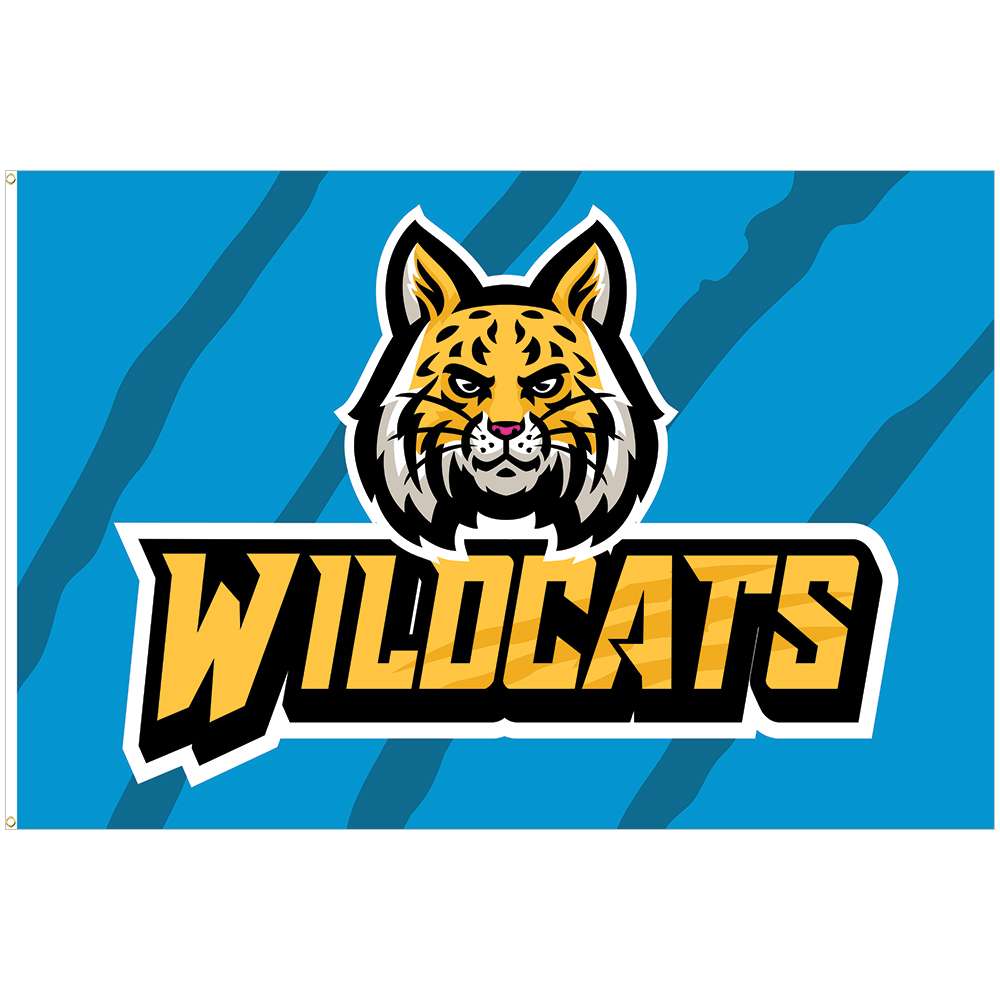 csv_image script mesh-flags_01.default.jpg