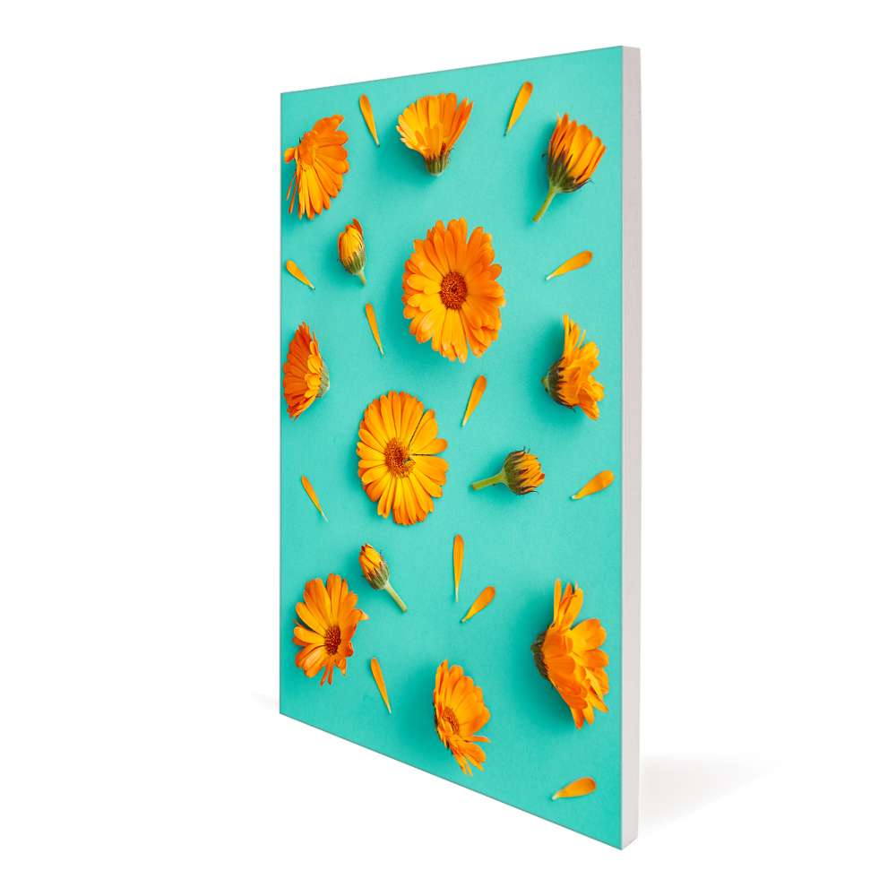 csv_image script aspen-slim-seg-displays_1.jpg