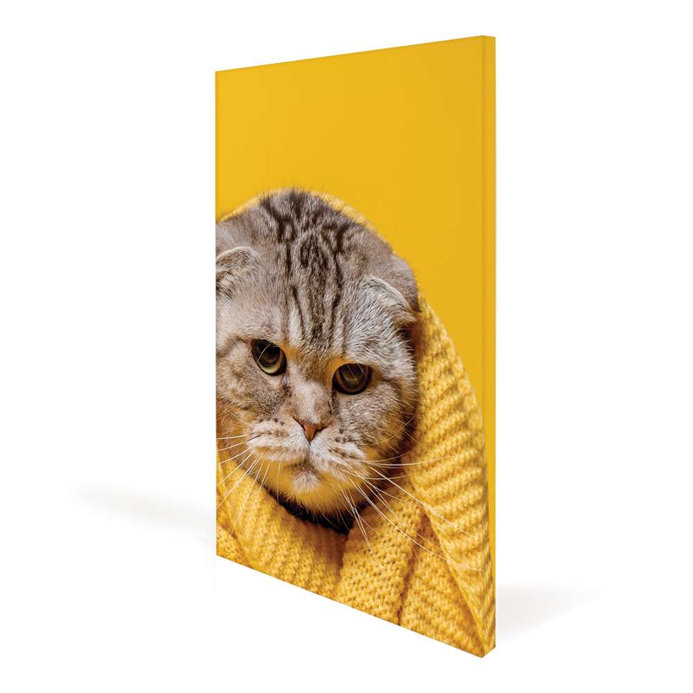 csv_image script canvas-frame_01.jpg